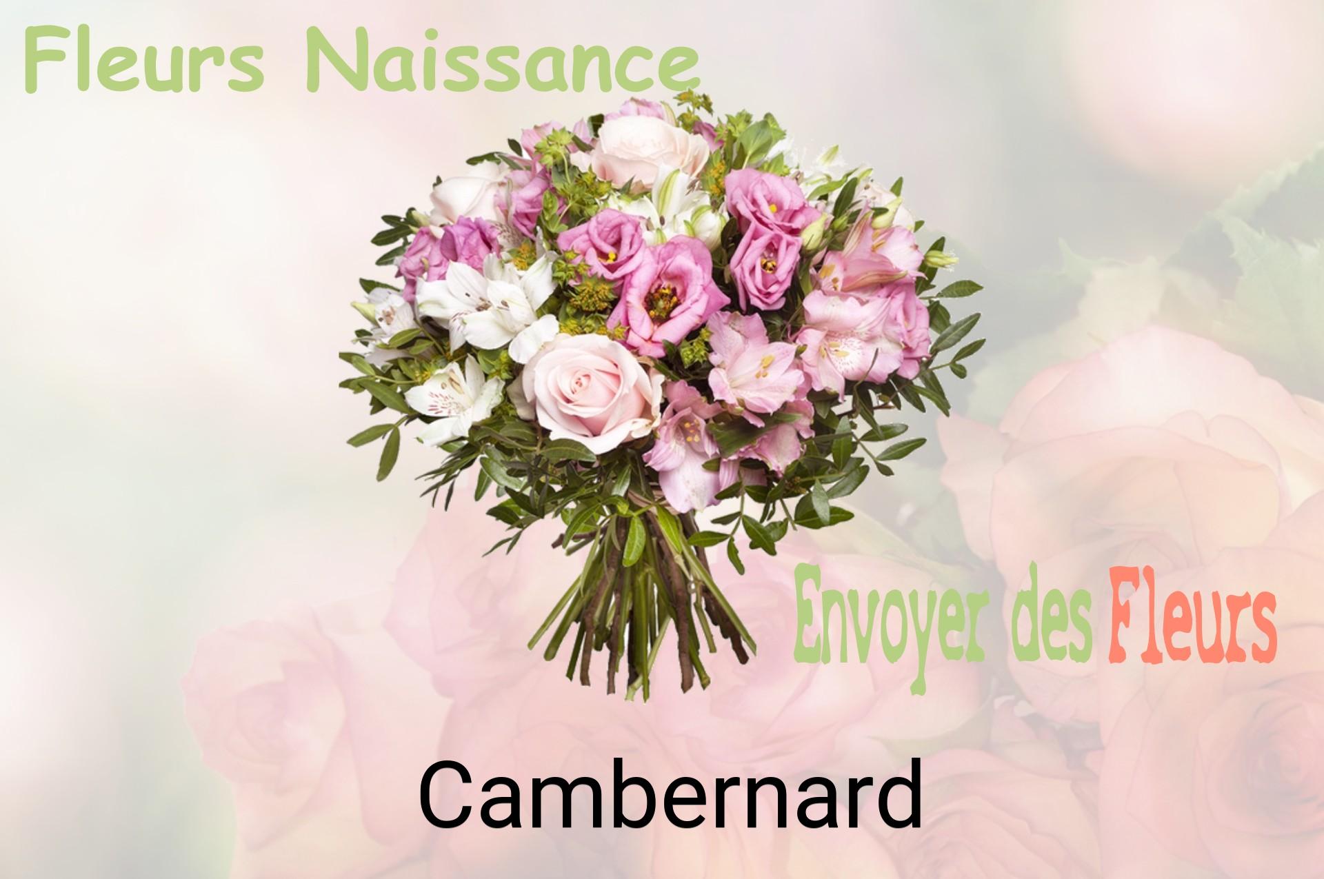 Bouquet de fleurs de naissance livré à Cambernard