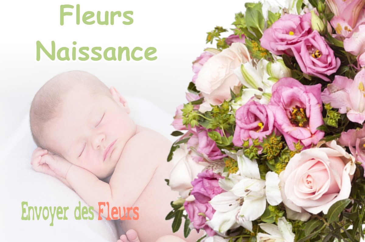 lIVRAISON FLEURS NAISSANCE à CAMBERNARD